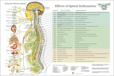ANS and Effects of Spinal Subluxation Poster