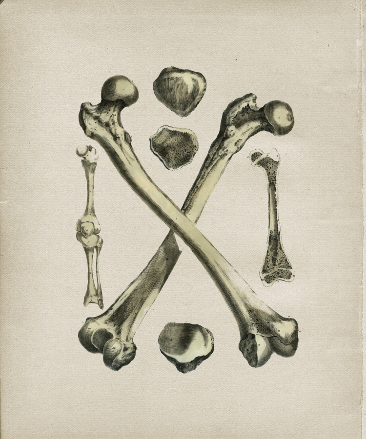 Crossed Bones Femur Print