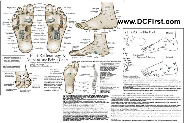 Foot Reflexology Laminated Chart