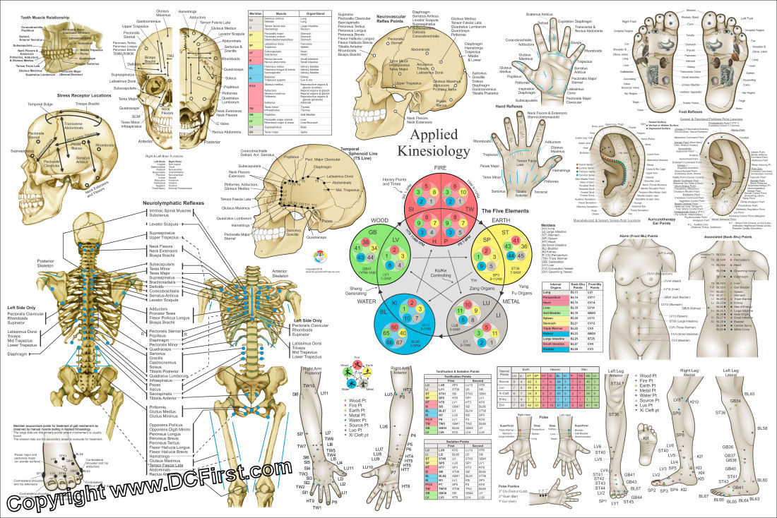 Applied Kinesiology Poster